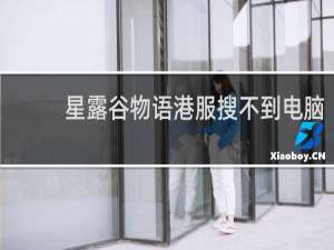 星露谷物语港服搜不到电脑