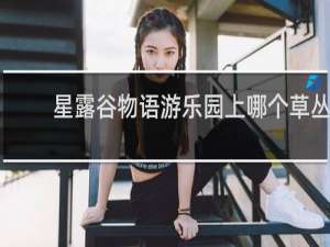 星露谷物语游乐园上哪个草丛