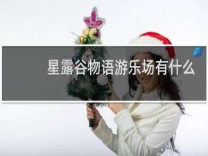 星露谷物语游乐场有什么