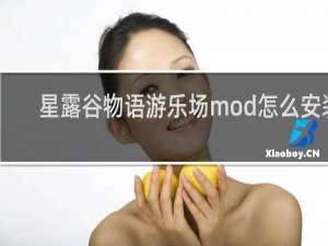 星露谷物语游乐场mod怎么安装