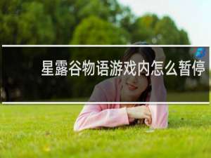 星露谷物语游戏内怎么暂停