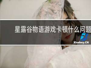 星露谷物语游戏卡顿什么问题
