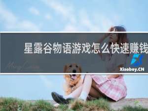 星露谷物语游戏怎么快速赚钱