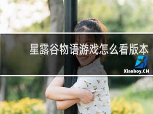星露谷物语游戏怎么看版本