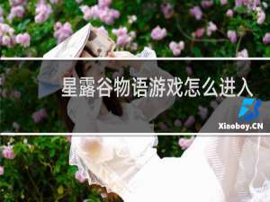 星露谷物语游戏怎么进入