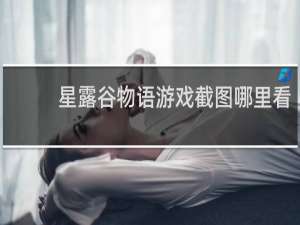 星露谷物语游戏截图哪里看