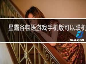 星露谷物语游戏手机版可以联机吗