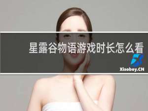 星露谷物语游戏时长怎么看