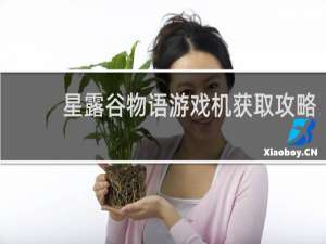 星露谷物语游戏机获取攻略