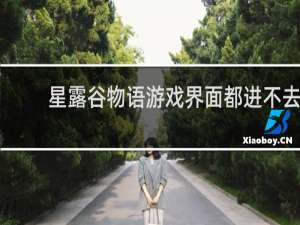 星露谷物语游戏界面都进不去