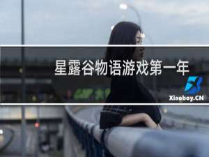 星露谷物语游戏第一年