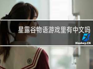 星露谷物语游戏里有中文吗