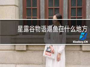 星露谷物语湖鱼在什么地方
