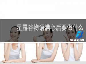 星露谷物语满心后要做什么