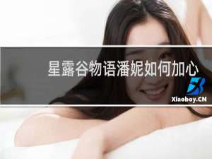 星露谷物语潘妮如何加心