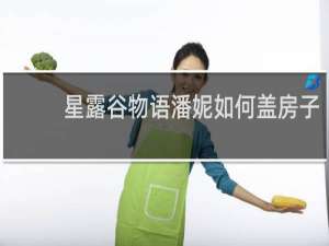 星露谷物语潘妮如何盖房子