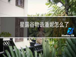 星露谷物语潘妮怎么了