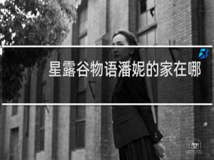 星露谷物语潘妮的家在哪