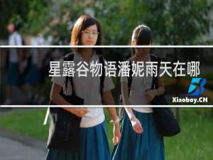 星露谷物语潘妮雨天在哪