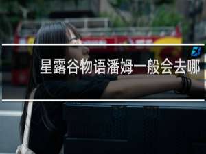 星露谷物语潘姆一般会去哪