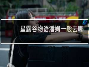 星露谷物语潘姆一般去哪