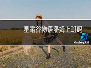 星露谷物语潘姆上班吗