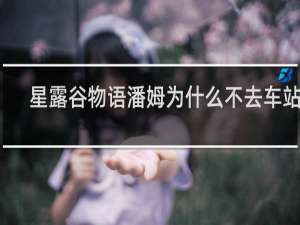 星露谷物语潘姆为什么不去车站了