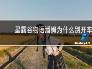 星露谷物语潘姆为什么别开车