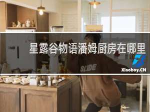 星露谷物语潘姆厨房在哪里