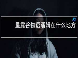 星露谷物语潘姆在什么地方