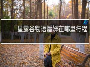 星露谷物语潘姆在哪里行程