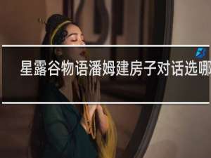 星露谷物语潘姆建房子对话选哪个