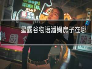 星露谷物语潘姆房子在哪