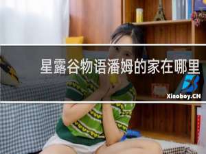 星露谷物语潘姆的家在哪里