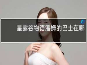 星露谷物语潘姆的巴士在哪