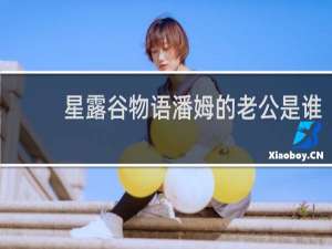 星露谷物语潘姆的老公是谁