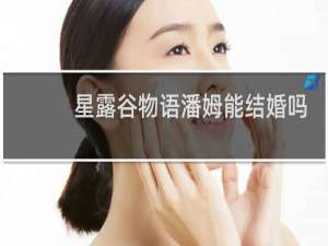 星露谷物语潘姆能结婚吗