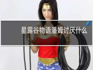 星露谷物语潘姆讨厌什么