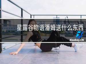 星露谷物语潘姆送什么东西