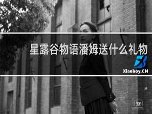 星露谷物语潘姆送什么礼物