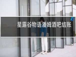 星露谷物语潘姆酒吧结账