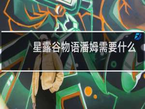 星露谷物语潘姆需要什么