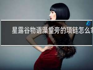 星露谷物语澡堂旁的项链怎么拿