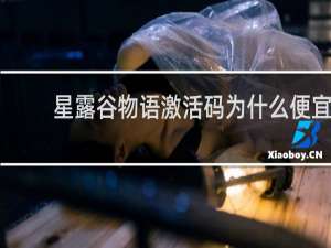 星露谷物语激活码为什么便宜