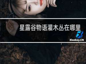 星露谷物语灌木丛在哪里