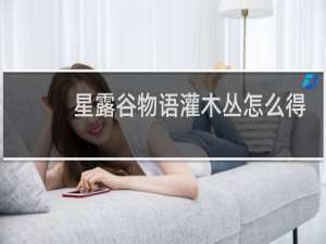 星露谷物语灌木丛怎么得