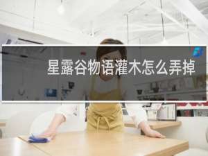 星露谷物语灌木怎么弄掉