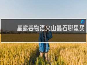 星露谷物语火山晶石哪里买