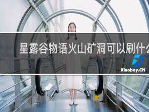 星露谷物语火山矿洞可以刷什么