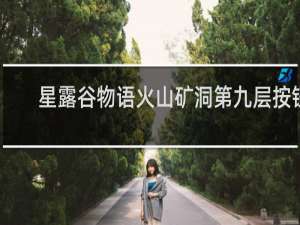 星露谷物语火山矿洞第九层按钮